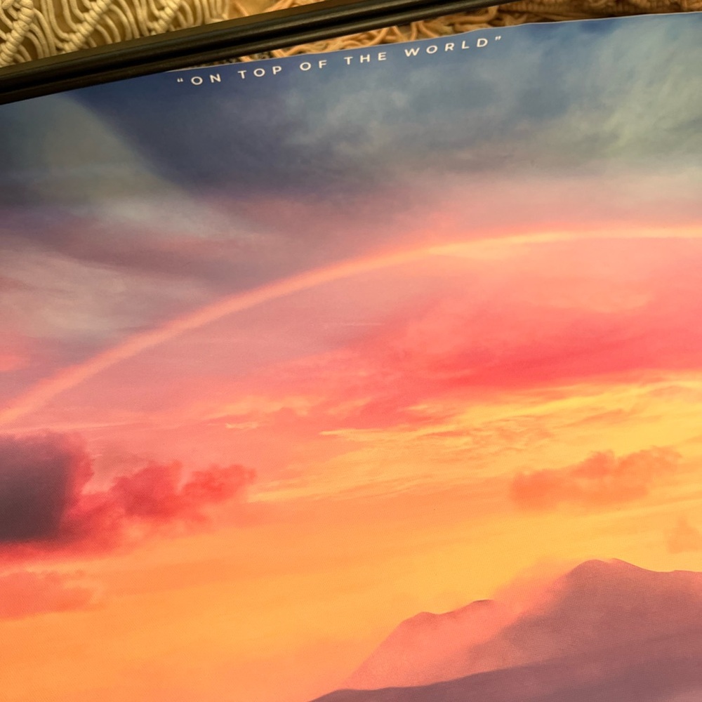 COPY - Ecstase “On Top of the World” Walltone Canvas Print - with Frame - Picture 6 of 8